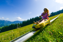 Allgemeine Tarife – Abtenauer Bergbahn und Sommerrodelbahn